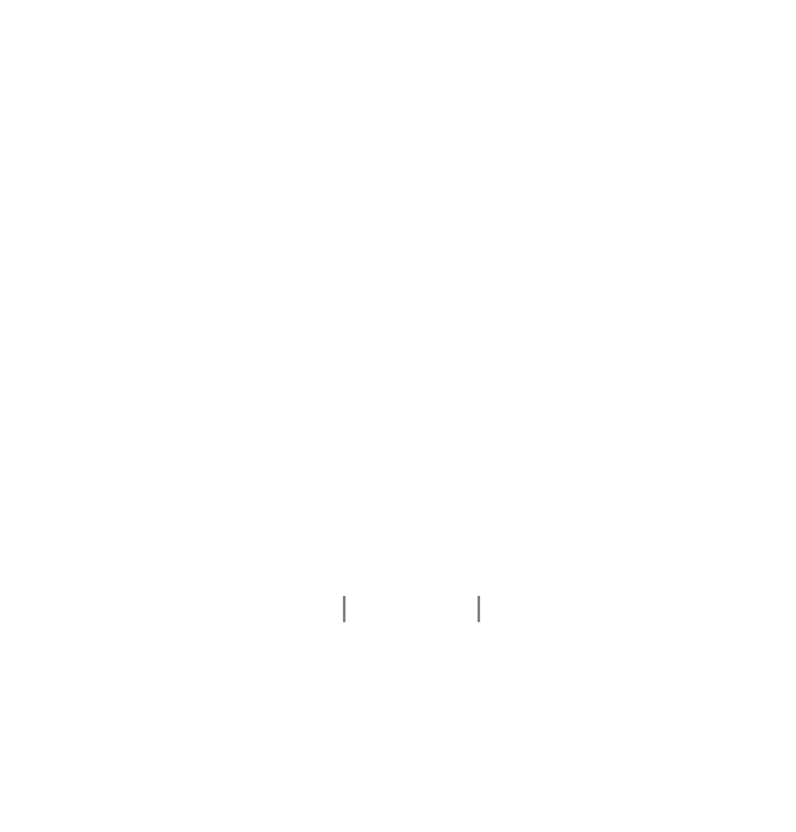 ACA TRANSPORTATION
